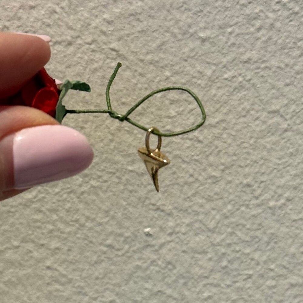 RESERVED - cb thorn charm only